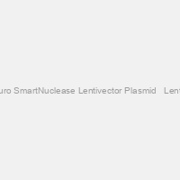 CMV-hspCas9-T2A-Puro SmartNuclease Lentivector Plasmid + LentiStarter Packaging Kit